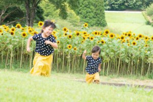 2019/8/31まで夏季休業中の受付について AN D83 4182 300x200