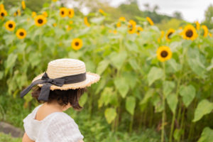 2023年夏季休業について 2023年8月15日~8月29日 STD DSC4830 300x200