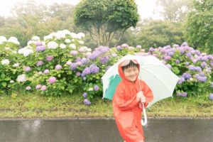 試みに吉野公園での撮影を受付します。 STD 74B7045 300x200